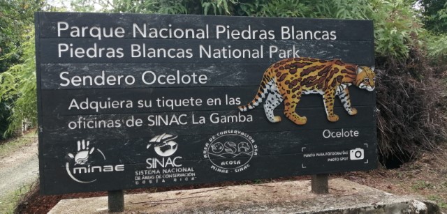 Piedras Blancas National Park | Nature in Costa Rica